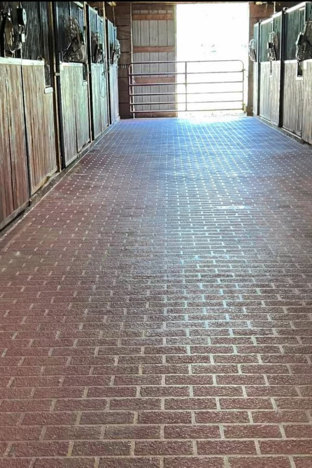 Brick-paved stable aisle with European stall fronts and open barn door at the end