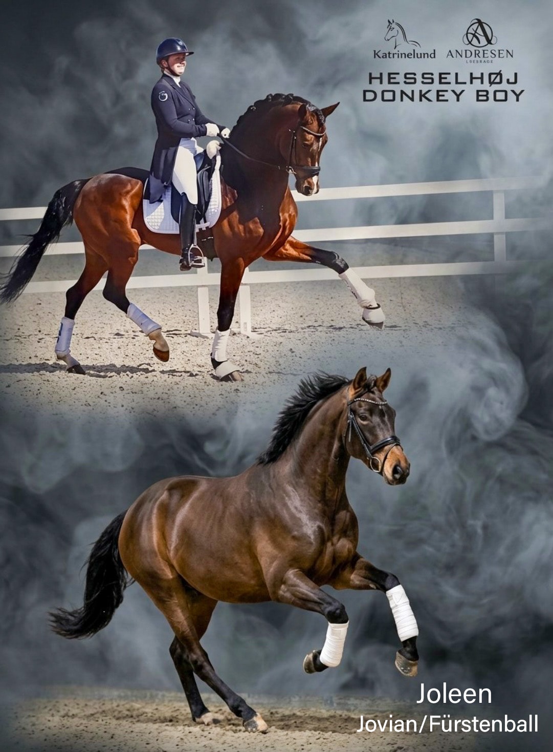 Hesselhøj Donkey Boy (ERA Dancing Hit/Milan) x Joleen/Jovian