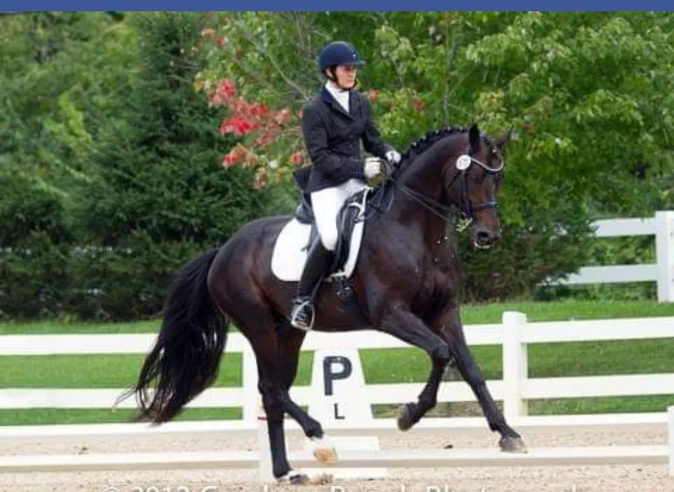 Rock Solid ridden at outdoor dressage show