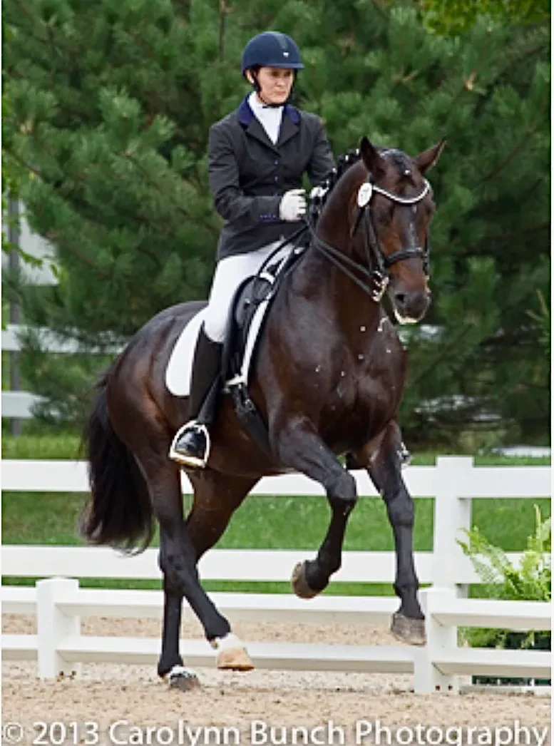 Rock Solid ridden at show, Carolynn Bunch Photography 2013