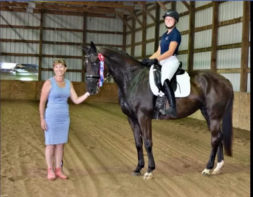 Vb.Pr. Dame Ingrid's Solid Dancer (Rock Solid x Kaya/Dancing Wolf xx) — Verband's Premium Mare — Bred by Julie Cannon