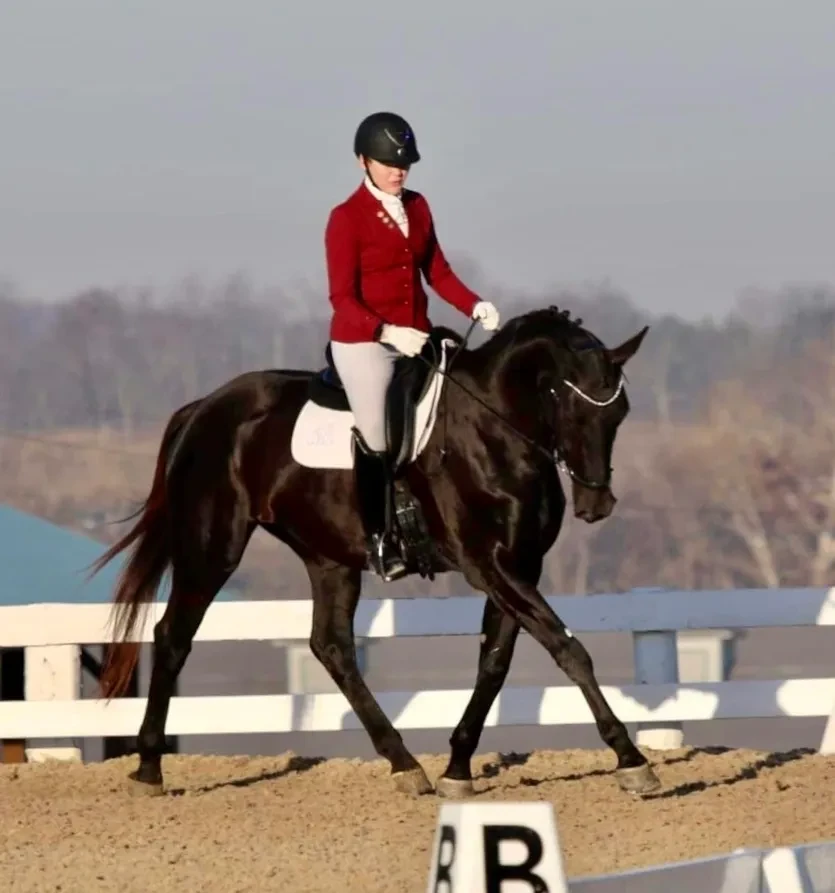 Monique's Minuet RSW (Rock Solid x Mardi Gras RSW/Festrausch/Matcho AA)