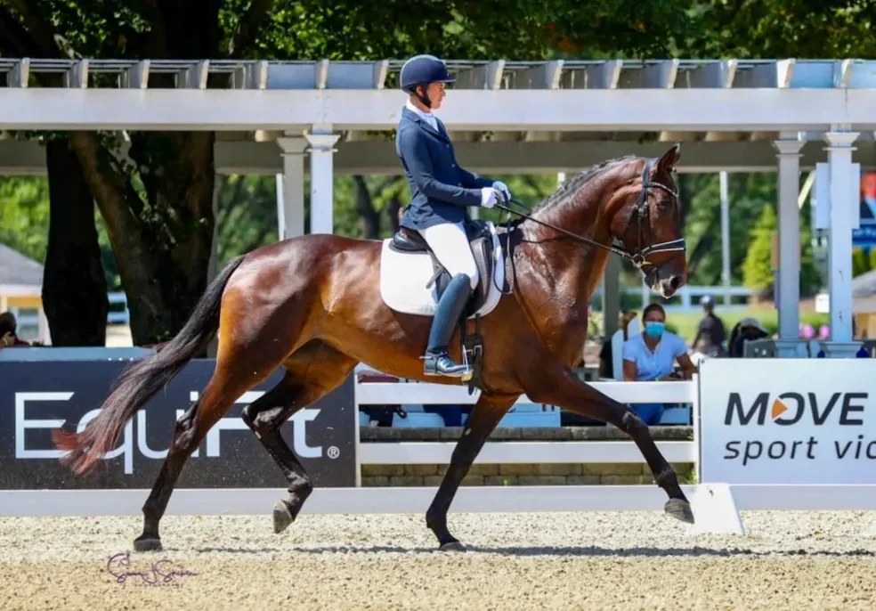 Royal Heiress (Rock Solid x SpPr/El Hermès(Hofrat/Archipel/Weltmeyer)