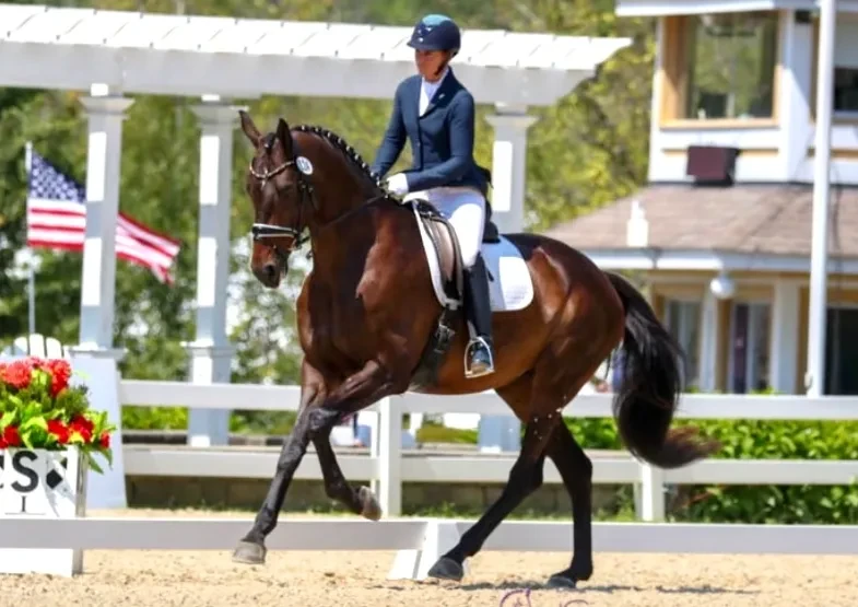 Royal Heiress (Rock Solid x SpPr/El Hermès(Hofrat/Archipel/Weltmeyer)