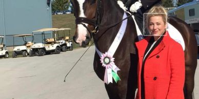 Sold horse 6