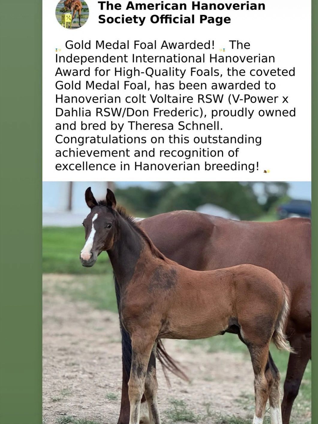 American Hanoverian Society Official page